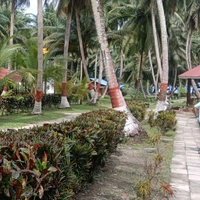 ANDAMAN TRIP (12th Jan)- 6N/7D