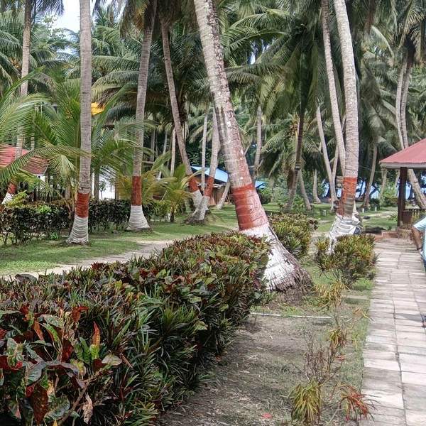 ANDAMAN TRIP (12th Jan)- 6N/7D