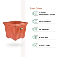 Vrukshveda 8 Inch Green Garden UV Square Planter - Only Planter