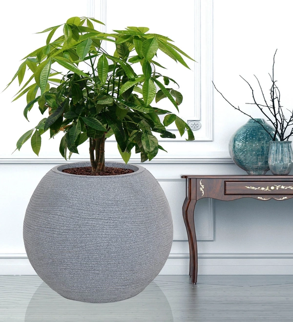 Vrukshveda Juniper Planter 15 - Gray