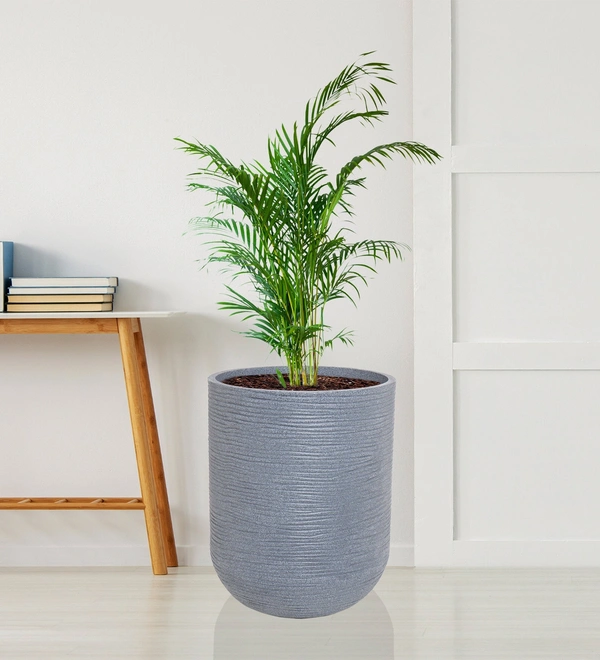 IRIS Tall Planter 14 - Gray