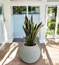 Vrukshveda Juniper Planter 15 - Marble White