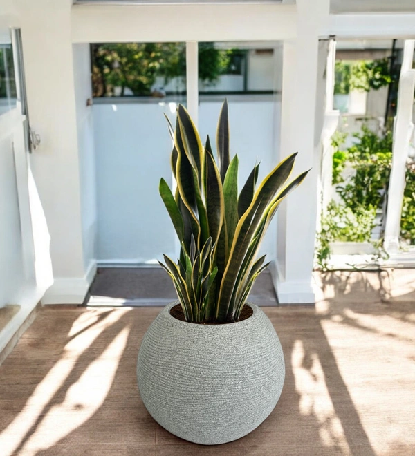 Vrukshveda Juniper Planter 15 - Marble White