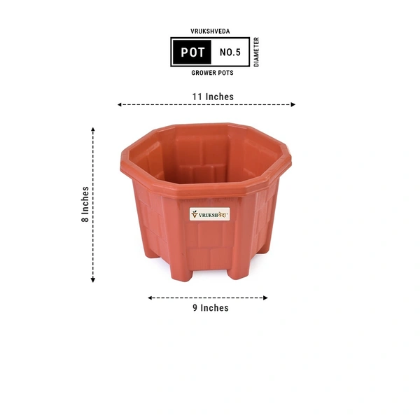 Vrukshveda Hexagone Plastic Planter - No.5
