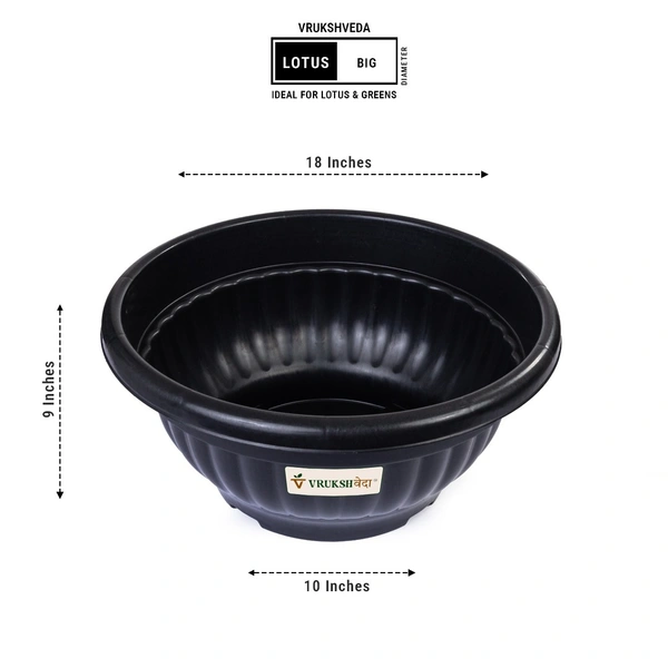 Vrukshveda Lotus Tub - Big