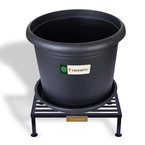 Vrukshveda 24 inch - Square Stand - 