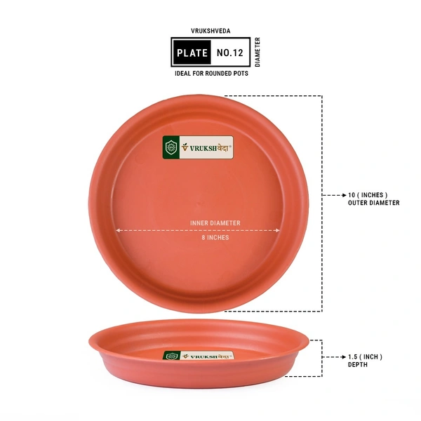 Vrukshveda UV Round Bottom Tray - No.12
