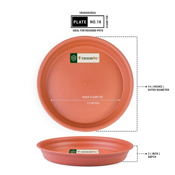 Vrukshveda UV Round Bottom Tray - No.18