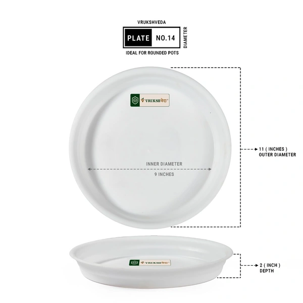 Vrukshveda UV White Bottom Tray - No.14