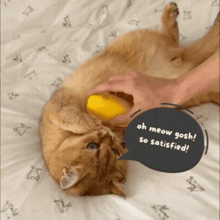 Steamy 3 in 1 Pet Hair Brush