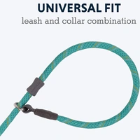 Ruffwear Just a Cinch Dog Leash