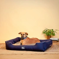 Classic Lounger Dog Bed