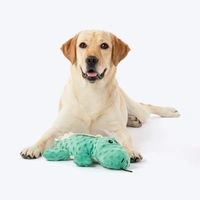 Mister Crocker Plush Toy For Dog
