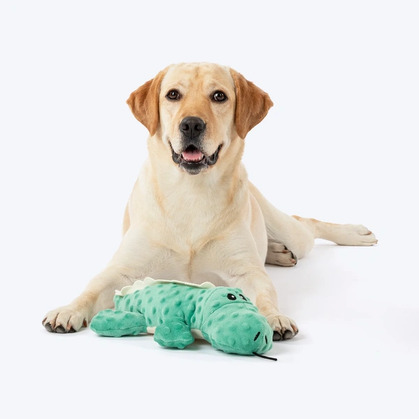 Mister Crocker Plush Toy For Dog