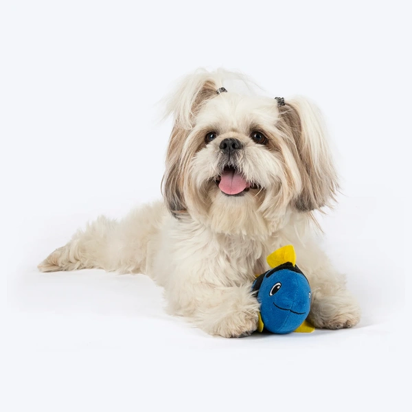 Squeaky Plush Toy For Puppies