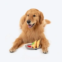Samosa Pawrty Crinkly Dog Toy