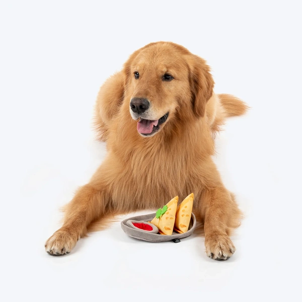 Samosa Pawrty Crinkly Dog Toy