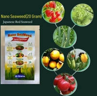 Nano Seaweed (20 Gram) - Black, 20 Gram