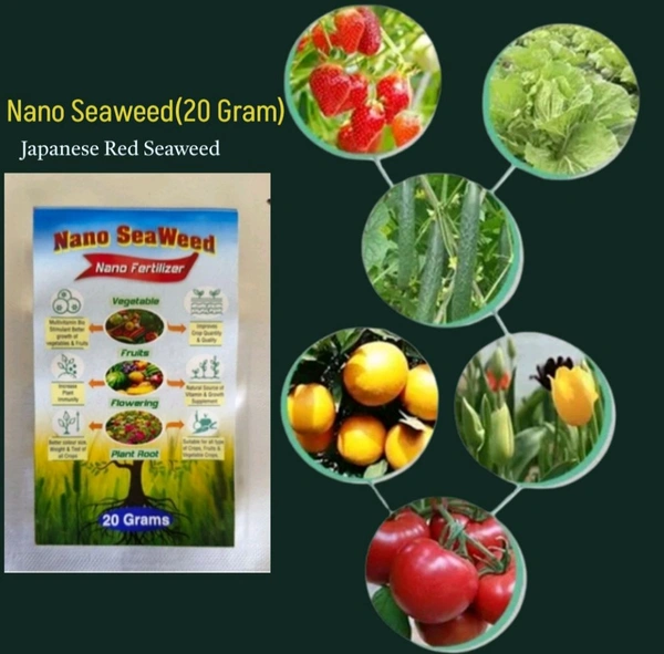 Nano Seaweed (20 Gram) - Black, 20 Gram
