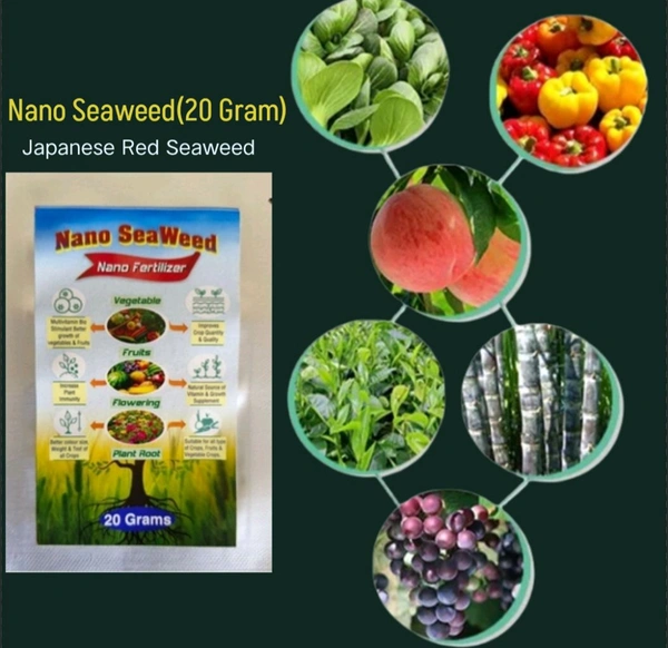 Nano Seaweed (20 Gram) - Black, 20 Gram