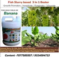 Fish Slurry Based 3 In 1 Booster (5 Litre) - Black, 20 Litre