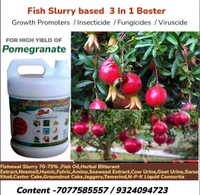 Fish Slurry Based 3 In 1 Booster (5 Litre) - Black, 20 Litre