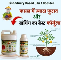 Fish Slurry Based 3 In 1 Booster (5 Litre) - Black, 5 Litre