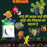 K-Miracle (Fulvic Acid+Organic Carbon+Seaweed+Humic Acid+Amino Acid)1 Kg - 1 Kg