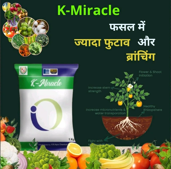 K-Miracle (Fulvic Acid+Organic Carbon+Seaweed+Humic Acid+Amino Acid)1 Kg - 1 Kg