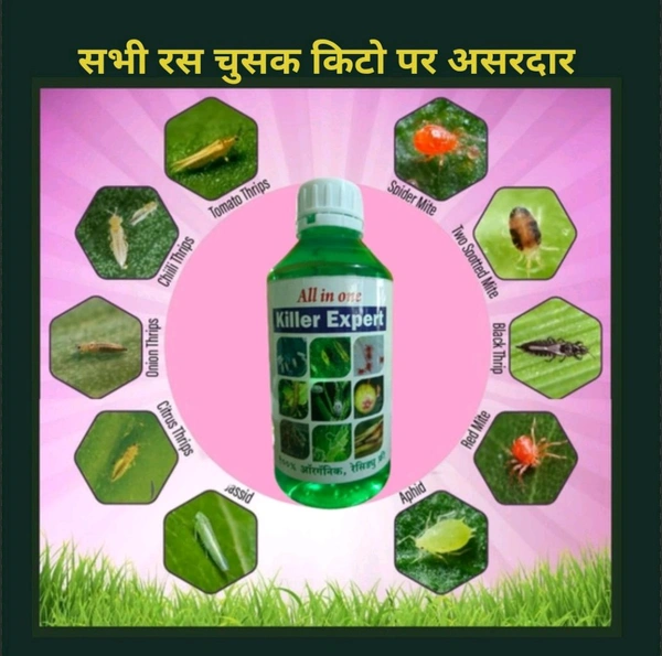 All In One Killer Expert (500ml) - 1 Bottal
