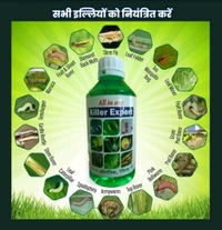 All In One Killer Expert (500ml) - 1 Bottal