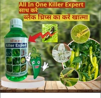 All In One Killer Expert (500ml) - 1 Bottal