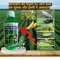 All In One Killer Expert (500ml) - 1 Bottal