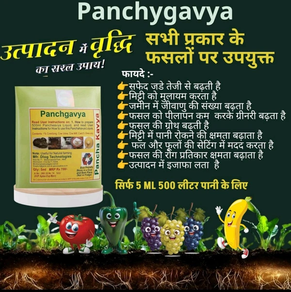 panchygavya 5 Ml - White, 10 Pic