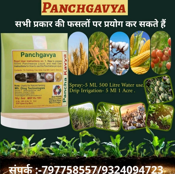 panchygavya 5 Ml - White, 10 Pic