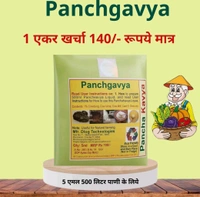 panchygavya 5 Ml - White, 10 Pic