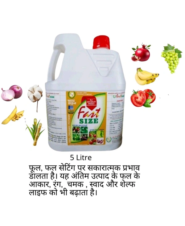 Fast Siz - Black, 5 Litre(can)