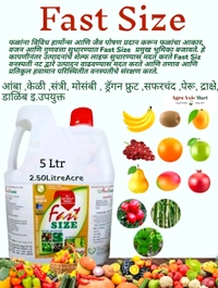 Fast Siz - Black, 5 Litre(can)