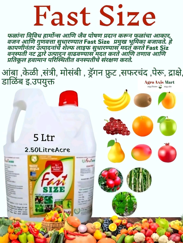 Fast Siz - Black, 5 Litre(can)