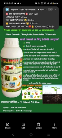 K-Miracle(1kg)+Fish Slurry Based 3 In1Booster(1 Litre)+Micro Expert(250 Gram)+All In One Killer Expert (20 Gram) - White, 3 Kg
