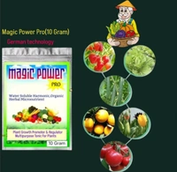 Magic Power Pro - Brown, 10 Gram