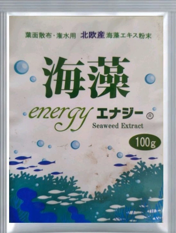 Seaweed Energy(100 Gram) - Black, 100