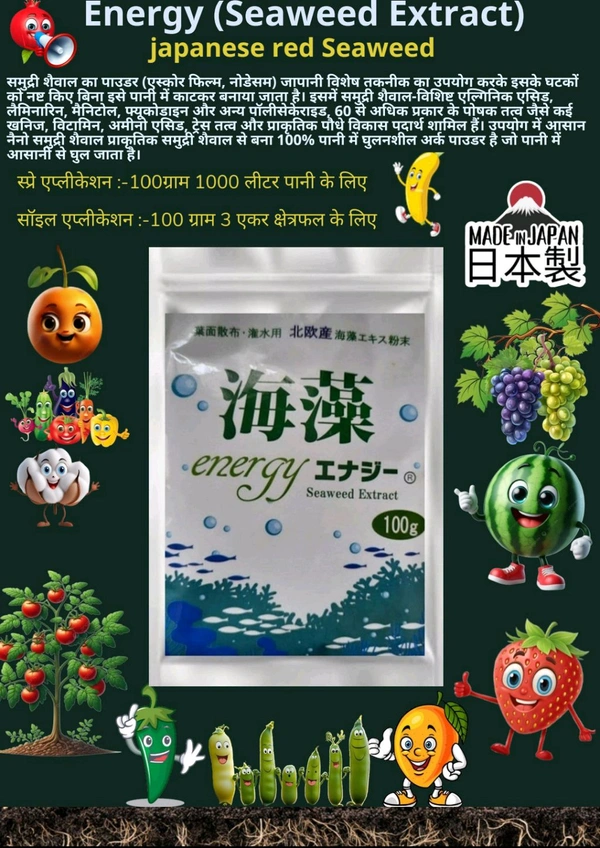  Energy Seaweed Extract (100 Gram) - Black, 100