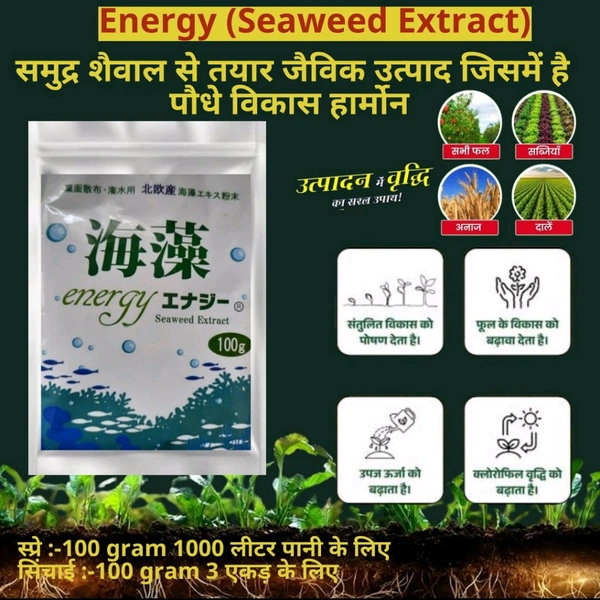  Energy Seaweed Extract (100 Gram) - Black, 100