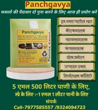Panchygavya (5 Ml )& Nano All In One killer Expert (20 Gram)(फ्री :-500ml Jag,1 Chamch,1 Kaychi) - White, 5Ml +20 Gram