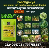 Panchgavya (5 Ml) & Super Fighter(250ml) - White