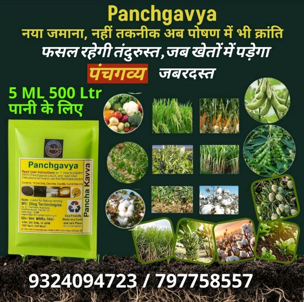 Panchgavya (5 Ml) & Super Fighter(250ml) - White