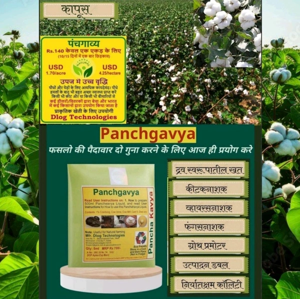 Panchgavya (5 Ml) & Super Fighter(250ml) - White