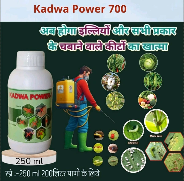 Kadwa Power -700 250 Ml - Teal, 250ML