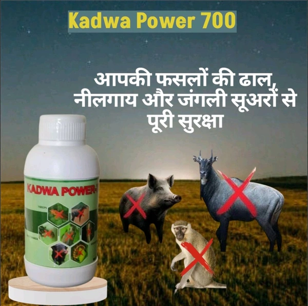 Kadwa Power -700 250 Ml - Teal, 250ML